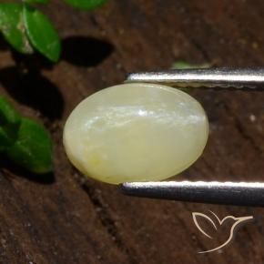 Opale œil de chat Jaune moyen-léger naturelle ovale, 1.80 ct, Translucide