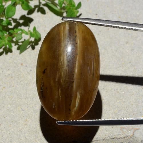 26.12ct Naturel Brun pécan Opale œil de chat, ovale, Translucide