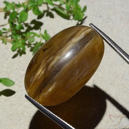 Opale œil de chat Brun pécan naturelle ovale, 26.12 ct, Translucide