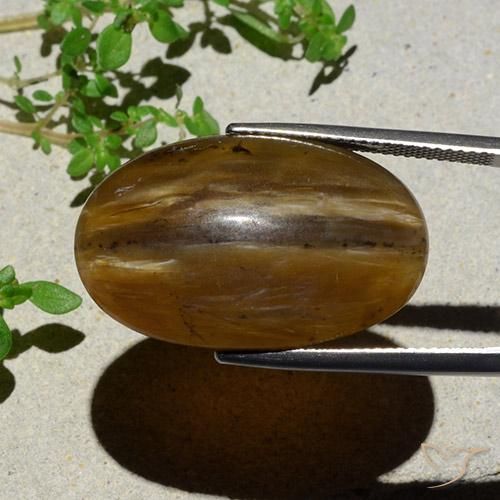 Opale œil de chat Brun pécan naturelle ovale, 26.12 ct, Translucide