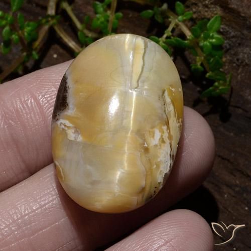 31.48ct Naturel Multicolore Opale œil de chat, ovale, Opaque