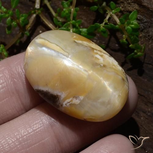 Opale œil de chat Multicolore naturelle ovale, 31.48 ct, Opaque