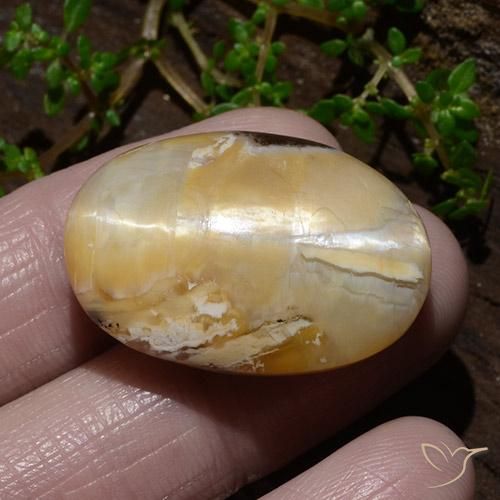Opale œil de chat Multicolore naturelle ovale, 31.48 ct, Opaque