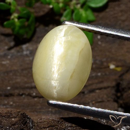 3.68ct Naturel Blanc cassé et chaud Opale œil de chat, ovale, Opaque