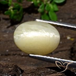 Opale œil de chat Blanc cassé et chaud naturelle ovale, 3.68 ct, Opaque