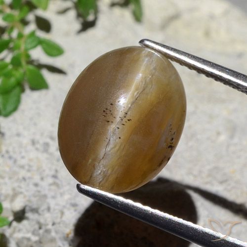 5.89ct Naturel Brun moyen Opale œil de chat, ovale, Translucide