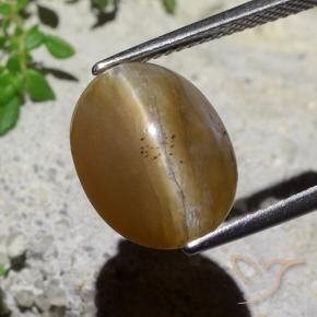 Opale œil de chat Brun moyen naturelle ovale, 5.89 ct, Translucide