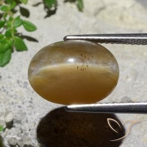 Opale œil de chat Brun moyen naturelle ovale, 5.89 ct, Translucide