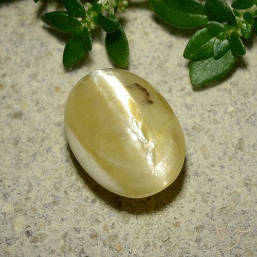 3.65ct Naturel Jaune crème Opale œil de chat, ovale, Opaque