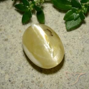 Opale œil de chat Jaune crème naturelle ovale, 3.65 ct, Opaque