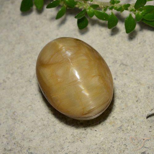 5.46ct Naturel Doré Opale œil de chat, ovale, Opaque