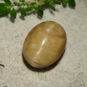 Opale œil de chat Doré naturelle ovale, 5.46 ct, Opaque