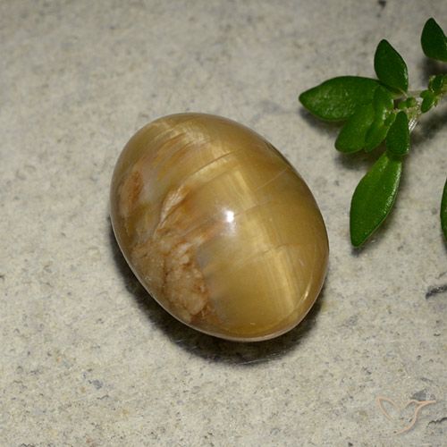 4.57ct Naturel Or moyen Opale œil de chat, ovale, Opaque