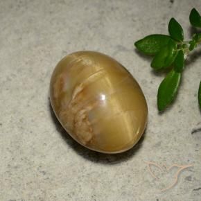Opale œil de chat Or moyen naturelle ovale, 4.57 ct, Opaque