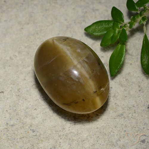 4.65ct Naturel Brun doré Opale œil de chat, ovale, Translucide