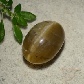 Opale œil de chat Brun doré naturelle ovale, 4.65 ct, Translucide
