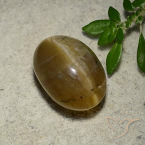 Opale œil de chat Brun doré naturelle ovale, 4.65 ct, Translucide