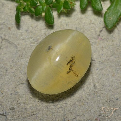4.16ct Naturel Jaune clair Opale œil de chat, ovale, Translucide