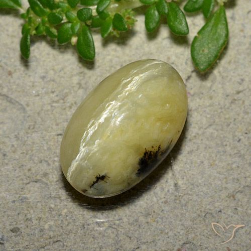 4.81ct Naturel Jaune banane Opale œil de chat, ovale, Opaque