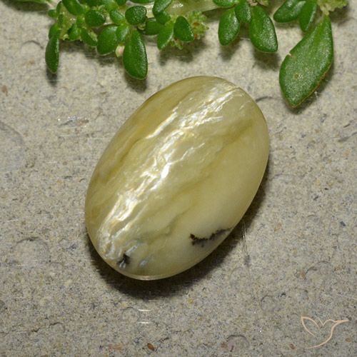 5.04ct Naturel Jaune banane Opale œil de chat, ovale, Opaque