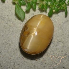 Opale œil de chat Brun doré naturelle ovale, 6.31 ct, Opaque