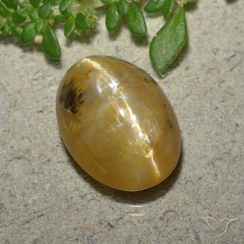 4.45ct Naturel Orange doré Opale œil de chat, ovale, Translucide