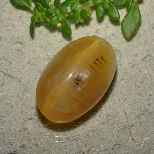 7.03ct Naturel Brun doré Opale œil de chat, ovale, Translucide