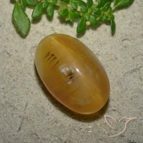 Opale œil de chat Brun doré naturelle ovale, 7.03 ct, Translucide