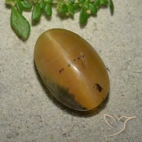 Opale œil de chat Brun doré naturelle ovale, 6.14 ct, Translucide