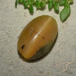 Opale œil de chat Brun doré naturelle ovale, 6.14 ct, Translucide