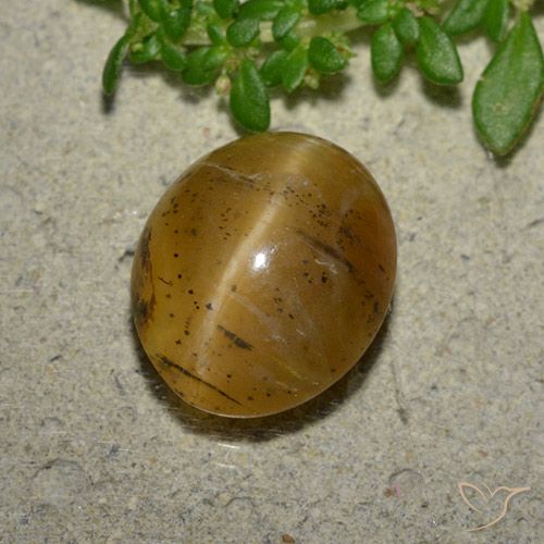 3.94ct Naturel Brun doré Opale œil de chat, ovale, Translucide
