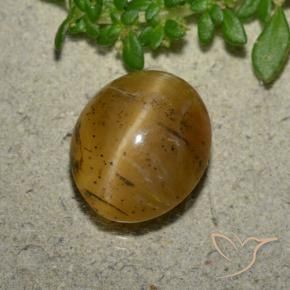 Opale œil de chat Brun doré naturelle ovale, 3.94 ct, Translucide