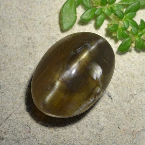 Opale œil de chat Brun moyen-foncé naturelle ovale, 9.59 ct, Translucide