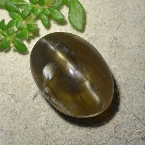 Opale œil de chat Brun moyen-foncé naturelle ovale, 9.59 ct, Translucide