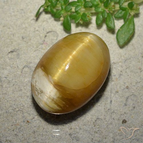 10.46ct Naturel Doré Opale œil de chat, ovale, Opaque