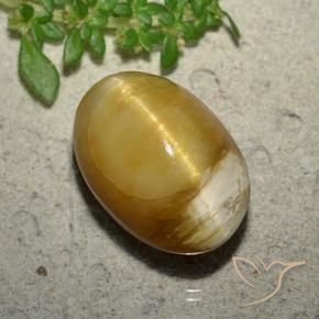 Opale œil de chat Doré naturelle ovale, 10.46 ct, Opaque