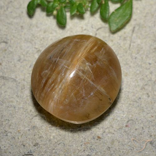 8.17ct Naturel Brun terre Opale œil de chat, ovale, Translucide