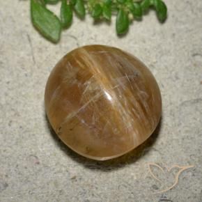 Opale œil de chat Brun terre naturelle ovale, 8.17 ct, Translucide