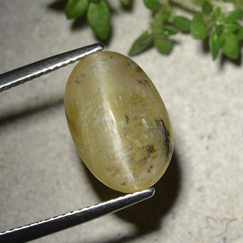 7.86ct Naturel Jaune moyen Opale œil de chat, ovale, Translucide