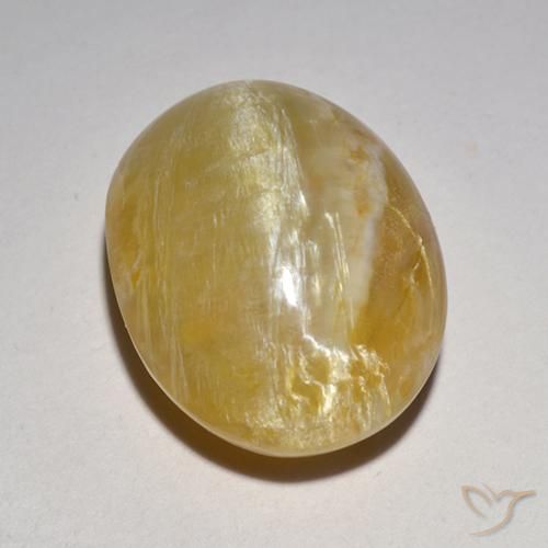 Opale œil de chat Jaune moyen naturelle ovale, 6.21 ct, Translucide