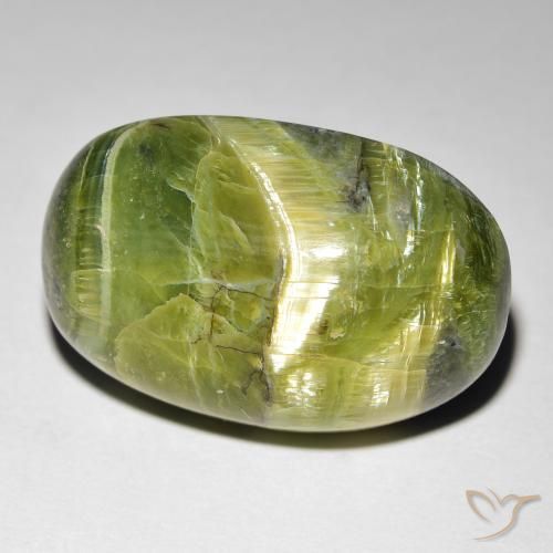 16.99ct Naturel Vert jaunâtre Opale œil de chat, ovale, Opaque