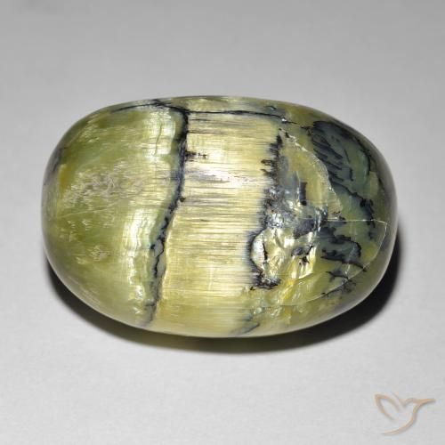 21.84ct Naturel Vert moyen Opale œil de chat, ovale, Opaque