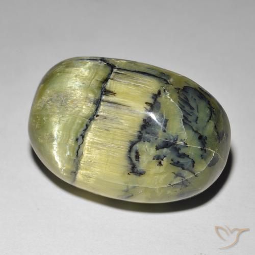 Opale œil de chat Vert moyen naturelle ovale, 21.84 ct, Opaque