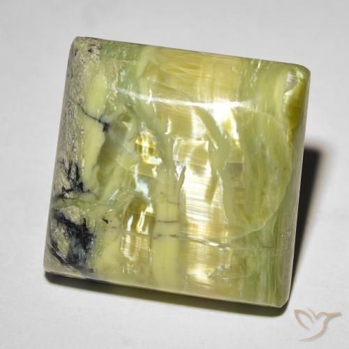 18.31ct Naturel Vert moyen Opale œil de chat, Carré, Opaque