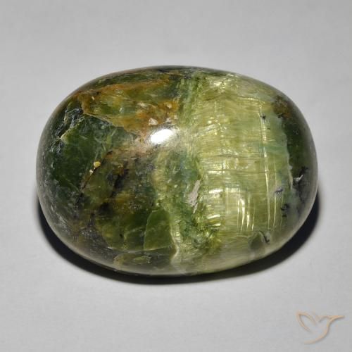 18.89ct Naturel Vert terreux Opale œil de chat, ovale, Opaque