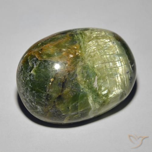 Opale œil de chat Vert terreux naturelle ovale, 18.89 ct, Opaque