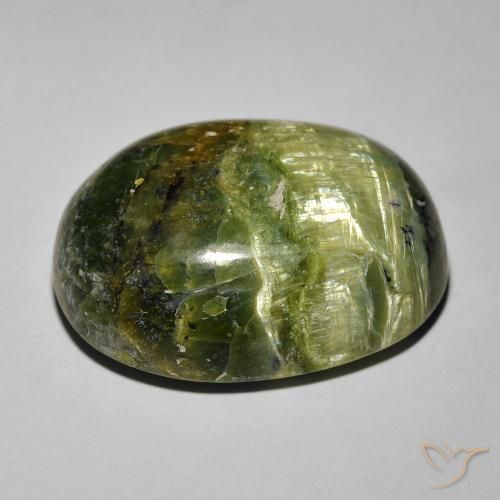 Opale œil de chat Vert terreux naturelle ovale, 18.89 ct, Opaque