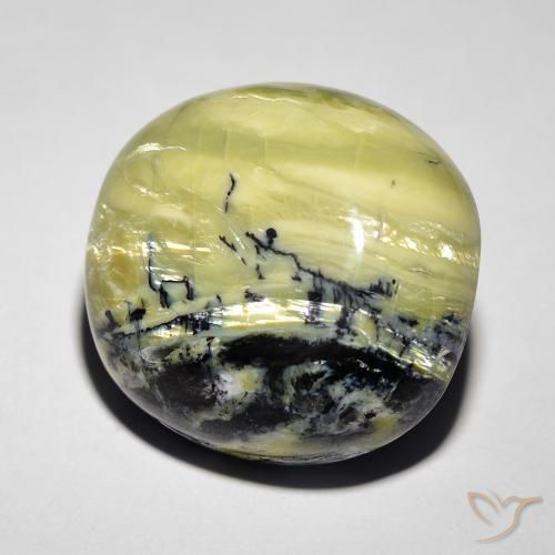 Opale œil de chat Vert moyen naturelle ovale, 18.52 ct, Opaque