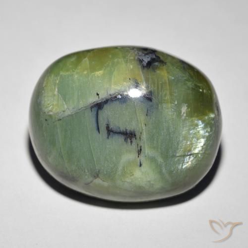 18.89ct Naturel Vert terre Opale œil de chat, ovale, Opaque