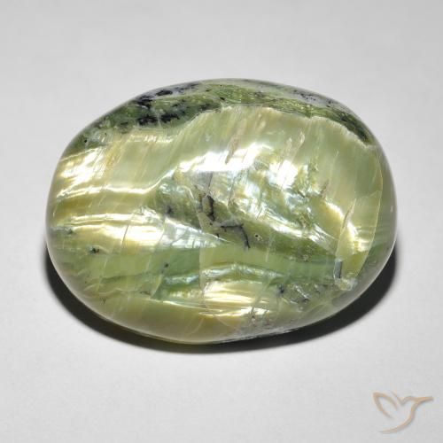 14.58ct Naturel Vert jaunâtre Opale œil de chat, ovale, Opaque